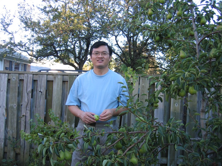 pear is almost ready.JPG